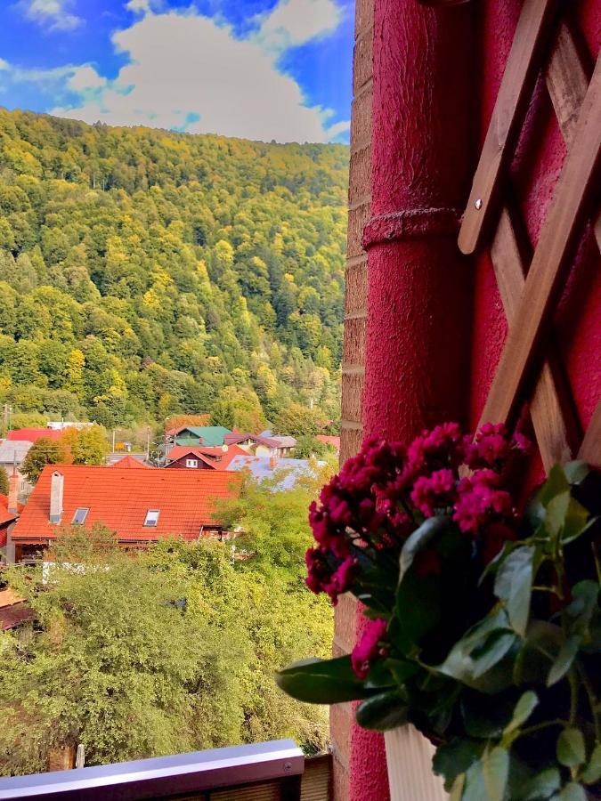 Sweet Pink By Miro Apartment Sinaia Exterior foto